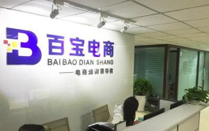 成都百寶教育咨詢 專業(yè)引領(lǐng)，成就未來(lái)教育之路